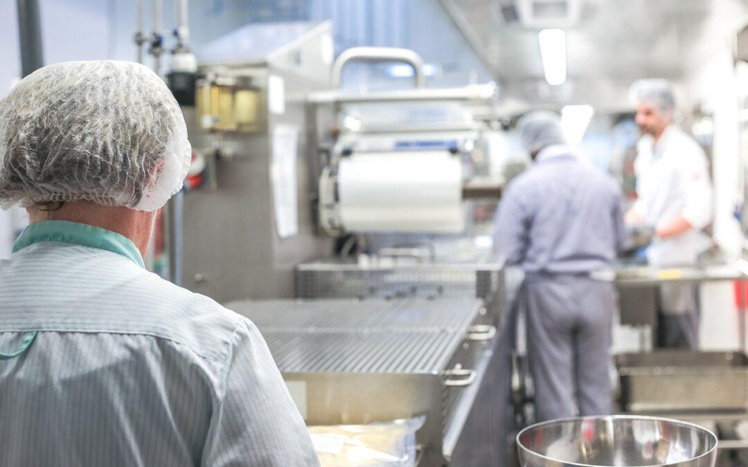 Behind the Scenes: A Day in the Life of Our Catering Team